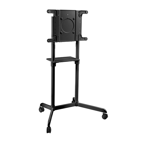 TTV11-46TW_2.jpg